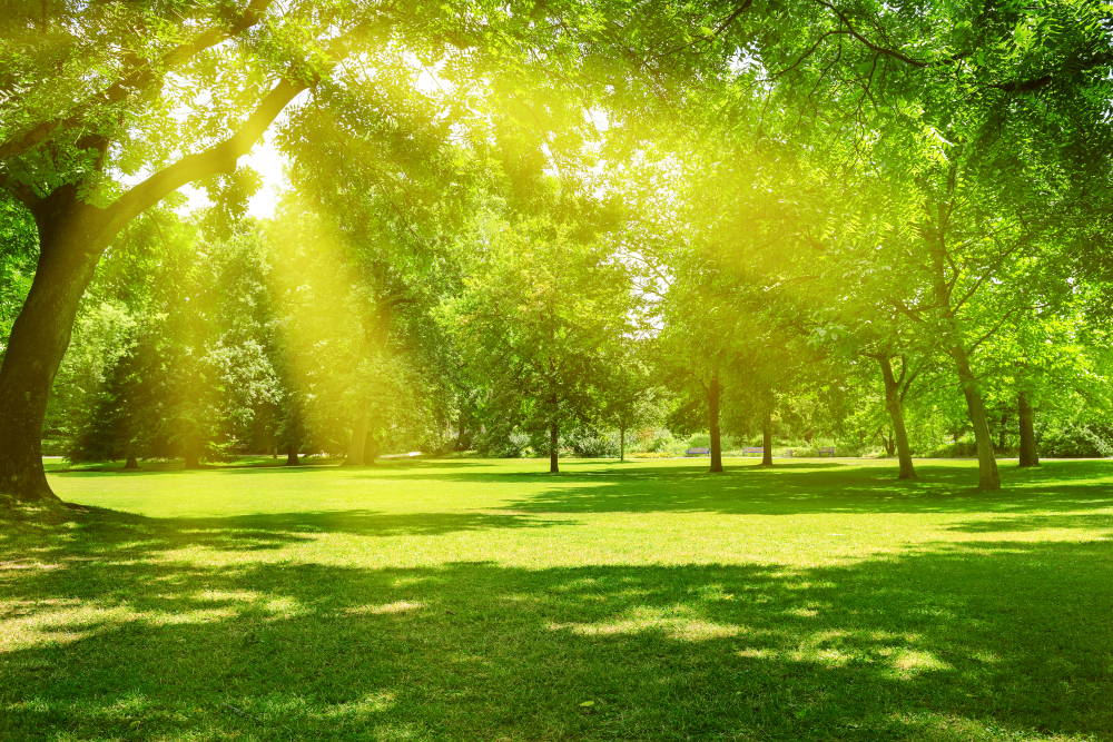 How do trees and green spaces enhance our health?